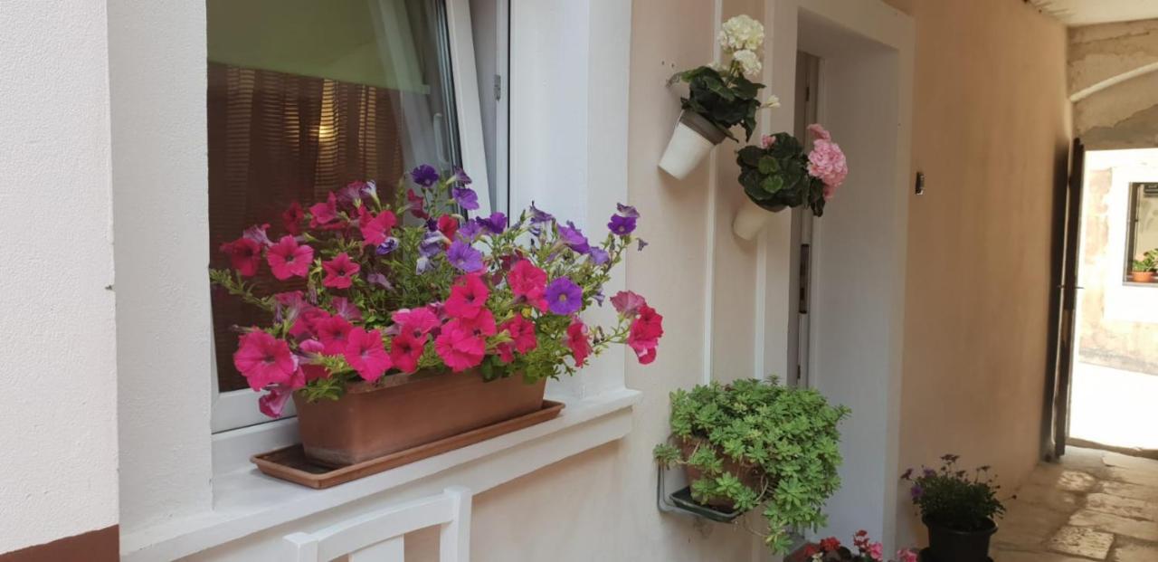 Apartment Asja Old City Center Pula Zewnętrze zdjęcie