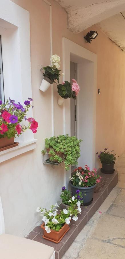 Apartment Asja Old City Center Pula Zewnętrze zdjęcie